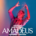 AMADEUS tickets